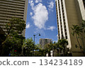Scenery of trees and blue sky at an intersection in Honolulu 134234189