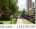 Sidewalk scenery in Honolulu, Hawaii 134234190