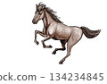 Cool horse illustration 134234845