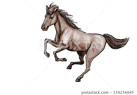 酷炫的馬匹插畫 酷炫的馬匹插畫 134234845