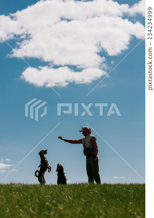 silhouette of woman playing with dogs in park against the background of blue sky. silhouette of woman playing with dogs in park against the background of blue sky. 134234999