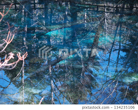 Morning scenery of Kaminoko Pond 134235106