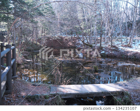Morning scenery of Kaminoko Pond Morning scenery of Kaminoko Pond 134235107