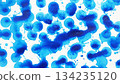 Abstract close-up of blue watercolor ink splashes and dots on white paper. 134235120