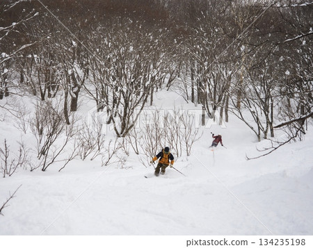 冬季，滑雪者在白馬栂池避暑山莊雙黑鑽石區滑雪 134235198