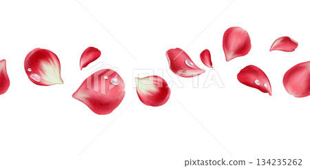 Red rose petals and transparent drops of water in seamless border in watercolor technique as a symbol of love,passion and desire.Hand drawn illustration for Valentines Day, March 8, Mothers Day 134235262