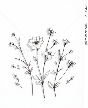 wild flowers on white background wild flowers on white background 134235678