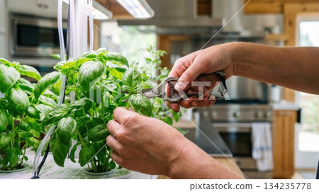 Hands Harvesting Fresh Herbs from High Tech Indoor Smart Garden System Hands Harvesting Fresh Herbs from High Tech Indoor Smart Garden System 134235778
