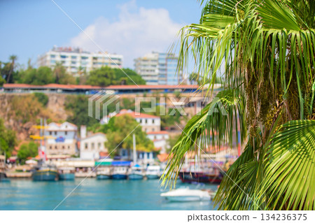 Palm leaves against the backdrop of a blurred tropical colorful city. Palm leaves against the backdrop of a blurred tropical colorful city. 134236375