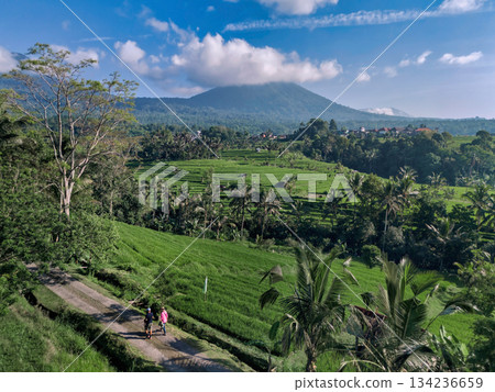 Adventurers Walk Through Verdant Rice Paddies With Mount Agung Adventurers Walk Through Verdant Rice Paddies With Mount Agung 134236659