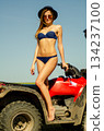Sexy, slim, pretty, attractive girl in swimsuit on the ATV quad bike. ATV concept. 134237100