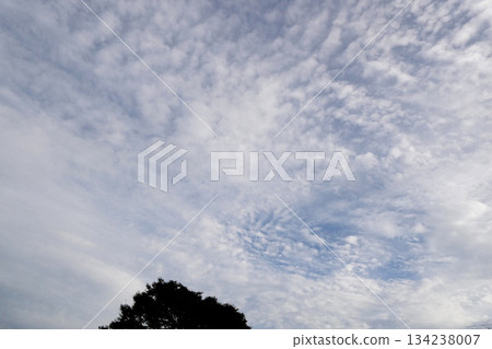 Pleasant autumn weather clouds White clouds floating in the autumn sky Pleasant autumn weather clouds White clouds floating in the autumn sky 134238007