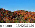 Autumn leaves at Hoshida Garden (Katano City, Osaka Prefecture) 134238189