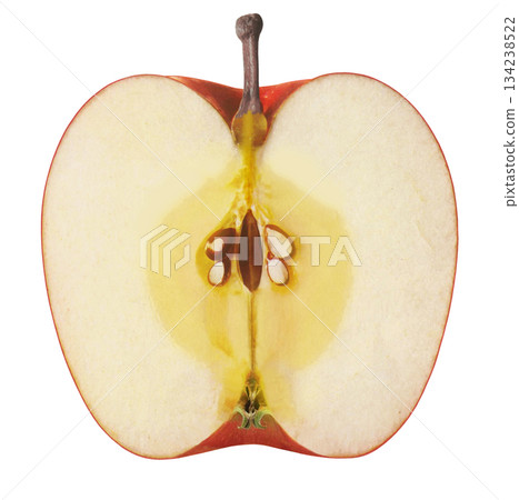 Illustration of a cross section of an apple Illustration of a cross section of an apple 134238522