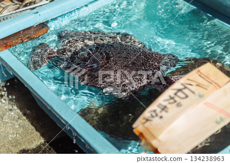 Stonefish swimming in a fish tank. Live fish for sale at the market. 134238963