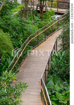 Walkways and wooden paths in Dusit Park on a Bangkok rooftop, surrounded by fresh greenery and offering elevated city views that blend modern design with calm natural space. 134239144