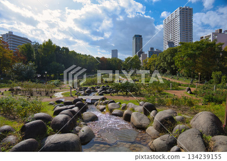 A large park in a city of buildings 134239155