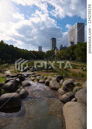 Park in the city 134239156