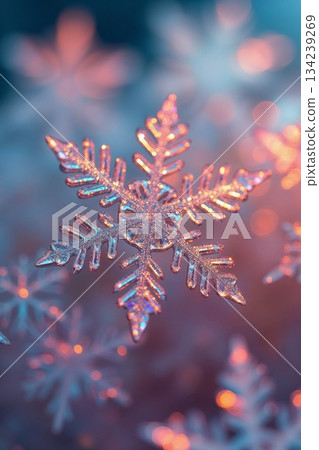 閃閃發光的冬日雪花 134239269