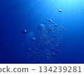 The sea of Okinawa 134239281