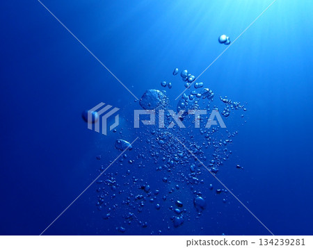 沖繩海 134239281