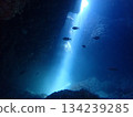 The sea of Okinawa 134239285