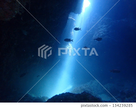 The sea of Okinawa 134239285