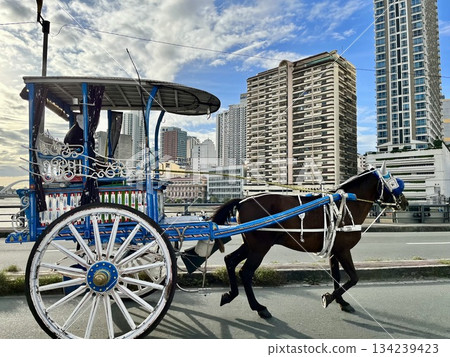 馬尼拉的馬車（Calesa） 134239423