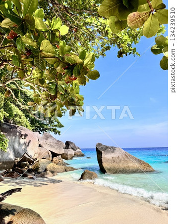 Thailand's Similan Islands, known for their snow-white beaches, crystal clear waters, coral reefs, and rich underwater world 134239510
