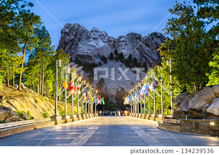 Illuminated Mount Rushmore National Memorial features the Avenue of Flags at night in South Dakota, USA. Historic sculpture of presidents stands above stone pillars and pine trees 134239536