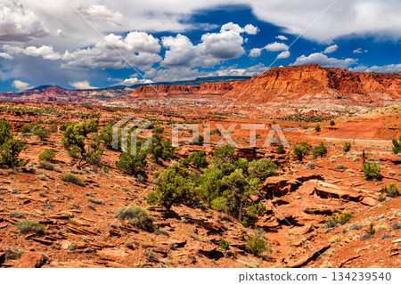 Panoramic view from Panorama Point features red sandstone layers and green juniper trees in Capitol Reef National Park, Utah. Vast landscape shows the Waterpocket Fold geology under cloudy sky 134239540