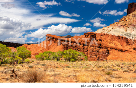 The Castle rock formation rises above the Fremont River valley in Capitol Reef National Park, Utah. Scenic landscape features vertical Wingate Sandstone cliffs and colorful Chinle Formation slopes 134239541