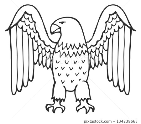 A drawing of an eagle with its wings spread out 134239665