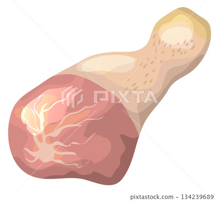 A cartoon drawing of a chicken leg with a lot of detail 134239689