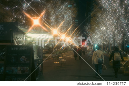 Christmas scenery street 134239757