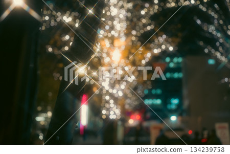 聖誕街景 聖誕街景 134239758