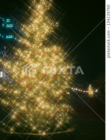 Christmas scenery street 134239760