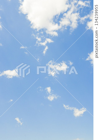藍天 134239955