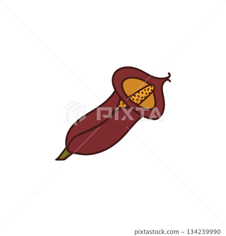Unique botanical illustration showcasing a stylized flower bloom with deep maroon petals and Unique botanical illustration showcasing a stylized flower bloom with deep maroon petals and 134239990