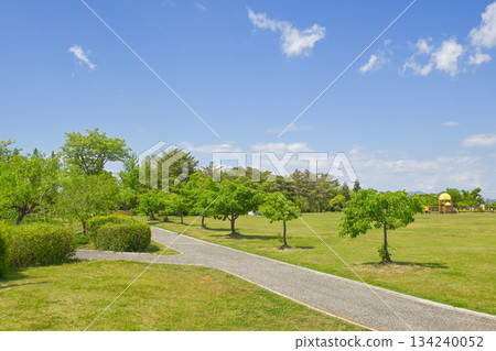 浦安綜合公園 浦安綜合公園 134240052