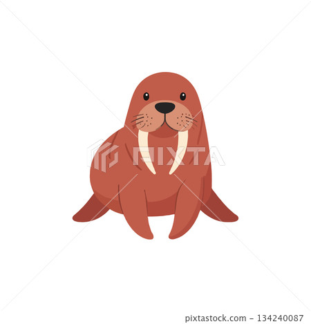 Charming walrus illustration, a cute sea mammal with prominent tusks and engaging design for kids 134240087