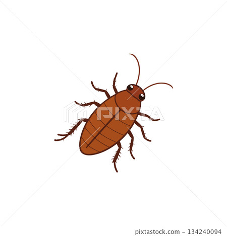 Detailed depiction of a stylized brown cockroach isolated on a clean white background showcasing Detailed depiction of a stylized brown cockroach isolated on a clean white background showcasing 134240094
