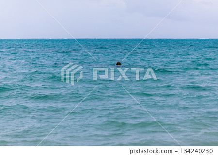 沙灘與薄荷綠海水形成寧靜對比的特寫 沙灘與薄荷綠海水形成寧靜對比的特寫 134240230
