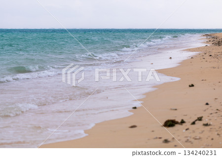 A close-up of the tranquil contrast between the sandy beach and the mint-green sea. 134240231
