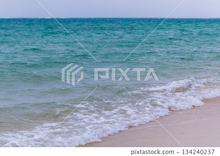 A close-up of the tranquil contrast between the sandy beach and the mint-green sea. 134240237