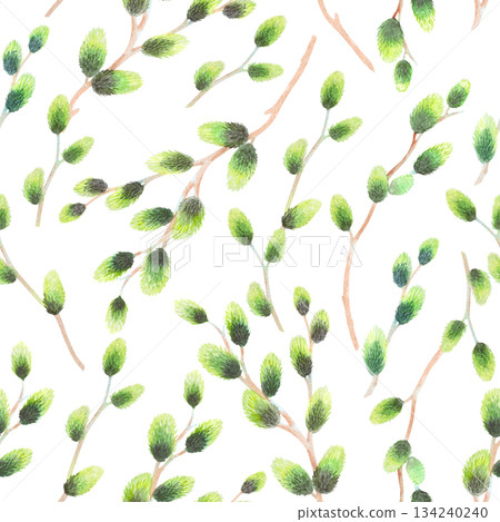 Seamless pattern of willows branches. Watercolor illustration. For fabric, wallpaper, packing paper, greeting cards, design, decoration and illustration. 134240240