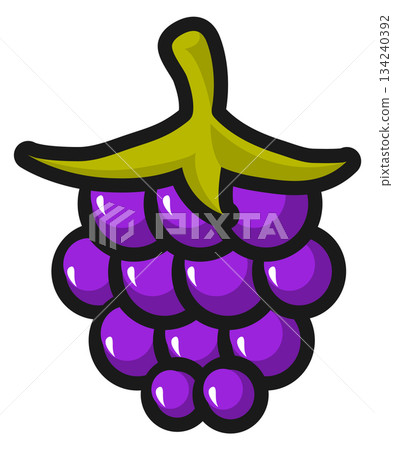 A purple grape with a green stem 134240392