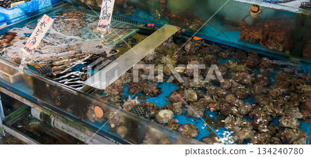 Shellfish lined up for sale in fish tanks at a fish market 134240780