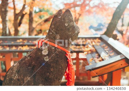 紅色牌坊和秋葉 134240830