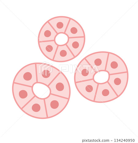 Glandular cell illustration material Glandular cell illustration material 134240950